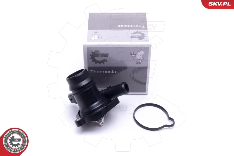Thermostat, coolant